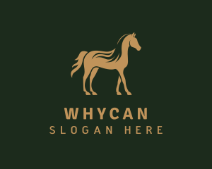 Stallion - Gold Stallion Horse logo design