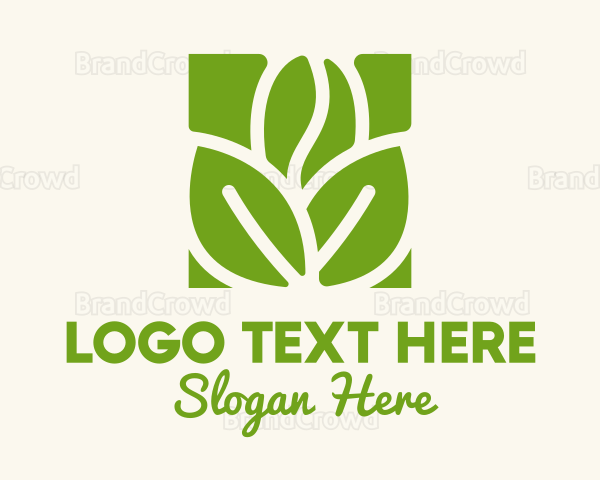 Organic Coffee Farm Logo
