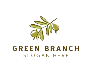 Branch - Olive Tree Branch logo design