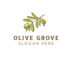 Olive Tree Branch logo design