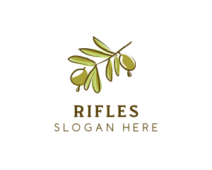 Branch - Olive Tree Branch logo design