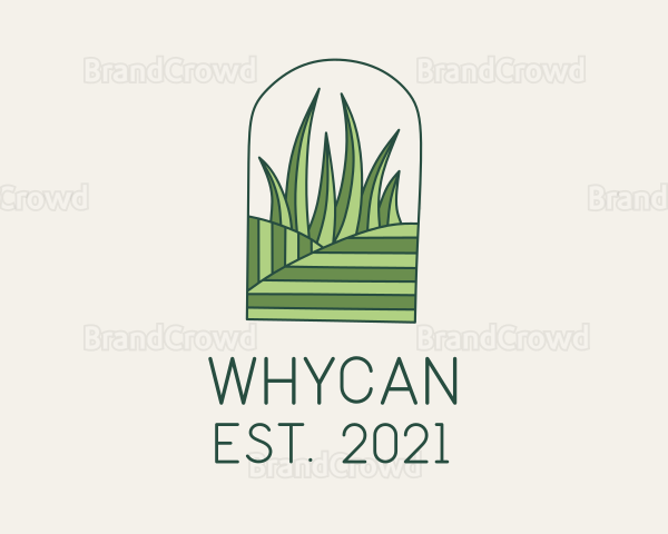 Field Lawn Care Logo