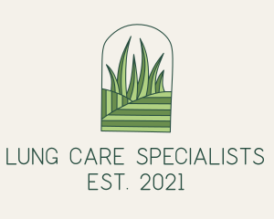 Field Lawn Care  logo design