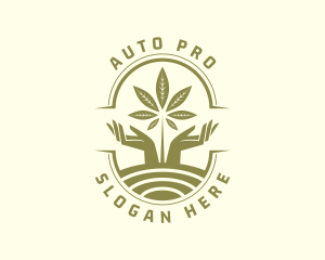 Herbal Medicine - Marijuana Hill Farm logo design