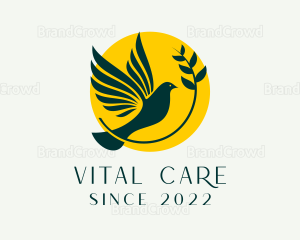 Dove Bird Sanctuary Logo