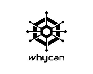 It - Hexagon Tech Circuit logo design