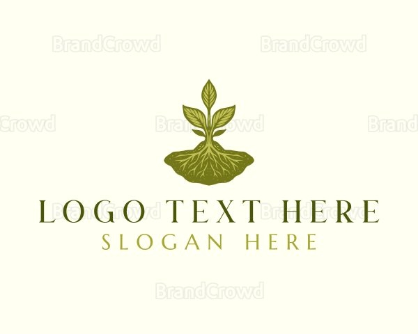 Plant Sprout Nature Logo