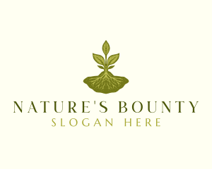 Plant Sprout Nature logo design