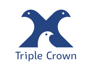 Three - Pigeon Family Bird logo design