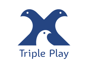 Three - Pigeon Family Bird logo design