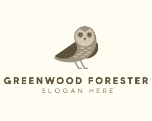 Wild Owl Bird logo design