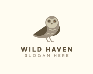 Wild Owl Bird logo design