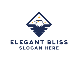 Diamond Blue Eagle Logo