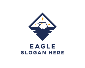 Diamond Blue Eagle logo design