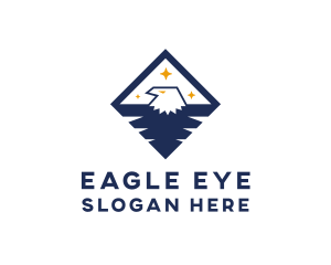 Diamond Blue Eagle logo design