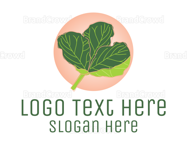 Fiddle Leaf Fig Plant Logo