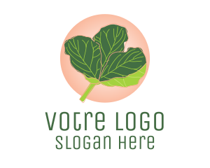 Fiddle Leaf Fig Plant  Logo