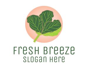 Fiddle Leaf Fig Plant  logo design