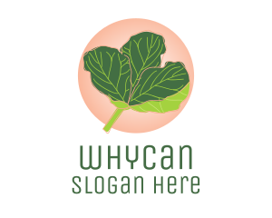 Hip - Fiddle Leaf Fig Plant logo design