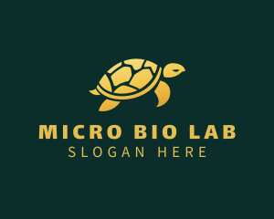 Gold Sea Turtle Animal logo design