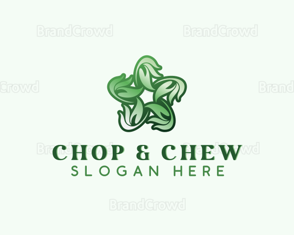 Natural Herb Leaves Logo