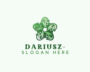 Natural Herb Leaves  Logo