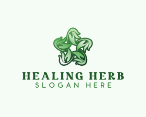 Natural Herb Leaves  logo design