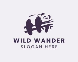 Wild Panda Bear logo design