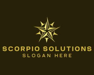 Star Compass Navigator logo design