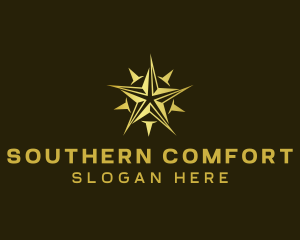 Star Compass Navigator logo design