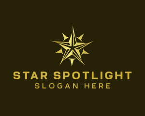 Star Compass Navigator logo design