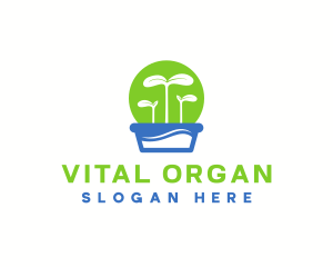 Plant Botanical Organic logo design