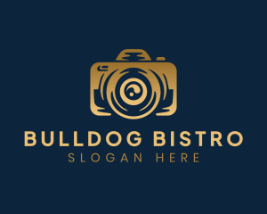 Picture Photo Camera logo design