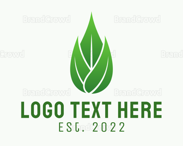 Leaf Essential Oil Logo