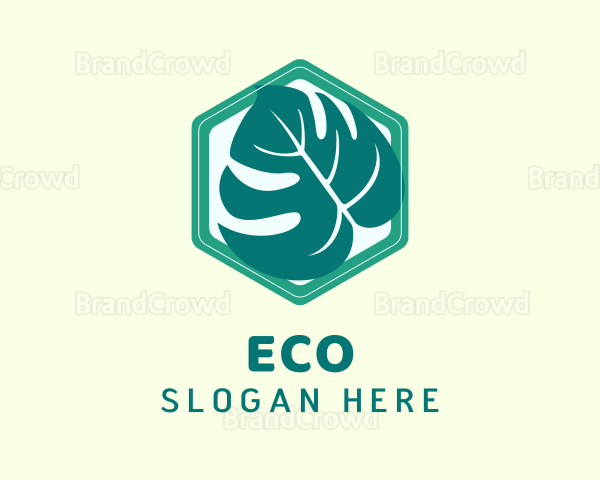 Hexagon Ornamental Plant Logo