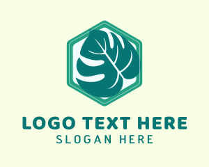 Ivy - Hexagon Ornamental Plant logo design