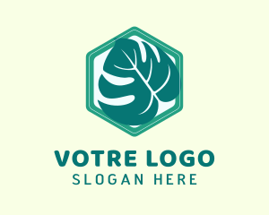 Plant - Hexagon Ornamental Plant logo design