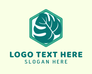 Silhouette - Hexagon Ornamental Plant logo design