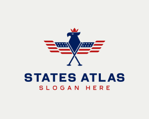 USA Flag Eagle logo design