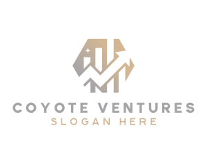 Investor Finance Analytics logo design