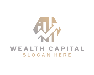 Investor Finance Analytics logo design