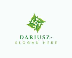 Natural Herbal Leaves Logo