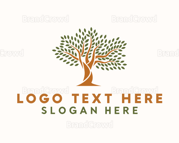 Natural Forest Tree Logo