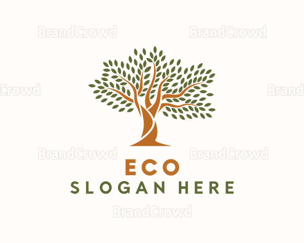 Natural Forest Tree Logo