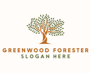 Natural Forest Tree logo design