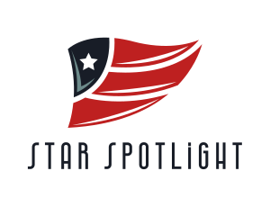 Winged Star Aviation Flag logo design