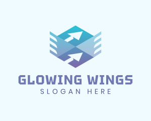 Package Delivery Wing logo design