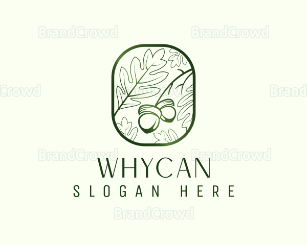 Green Acorn Leaf Logo