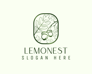 Green Acorn Leaf  Logo