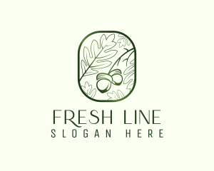 Green Acorn Leaf  logo design